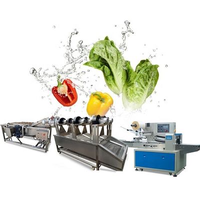 Máquina de limpeza da cenoura industrial da máquina de lavar da batata doce do rolo da escova