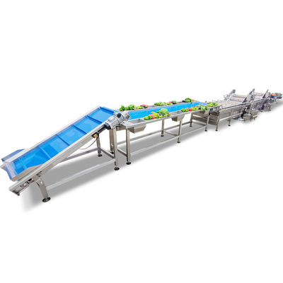 Tipo automático linha da escova de processamento das frutas e legumes da batata