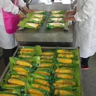 Máquina de embalagem do vácuo da câmara do saco de plástico, máquina de embalagem industrial do vácuo