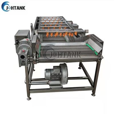 Máquina de limpeza automática industrial da lavagem do vegetal e do fruto para a salada do tomate